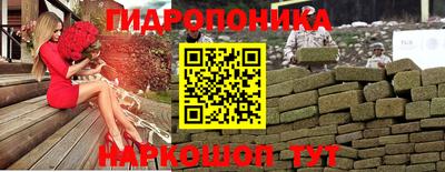 круглые Новодвинск