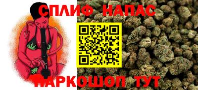 ГАЛЛЮЦИНОГЕННЫЕ ГРИБЫ Новозыбков